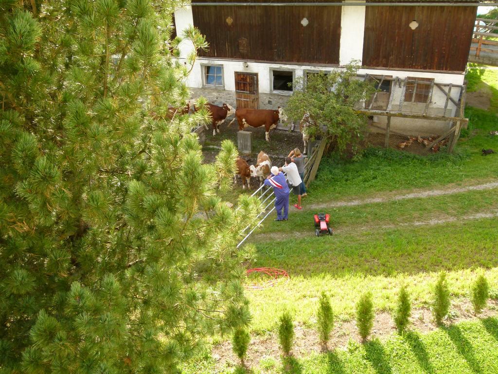 Ferienwohnungen Bachergut Mariapfarr Bilik gambar