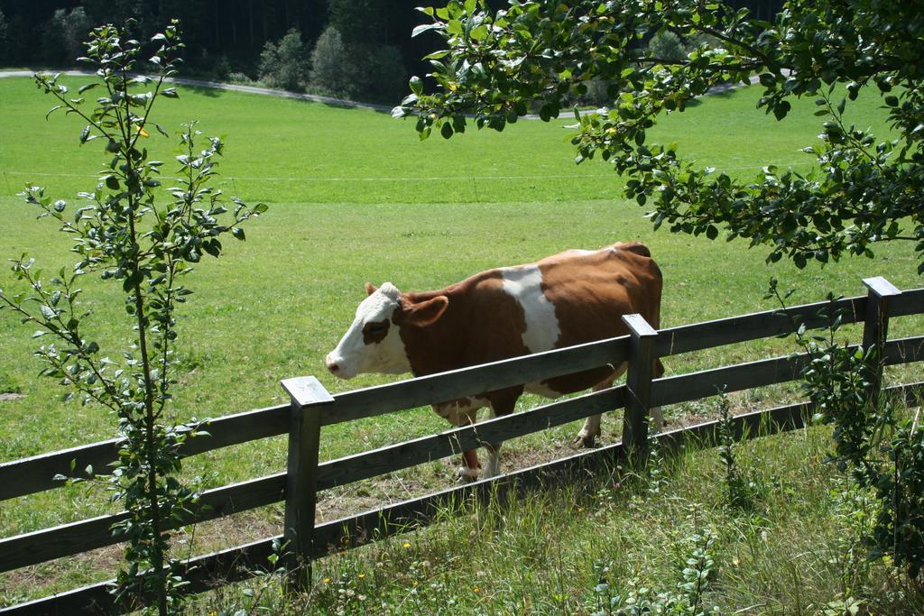 Ferienwohnungen Bachergut Mariapfarr Bilik gambar